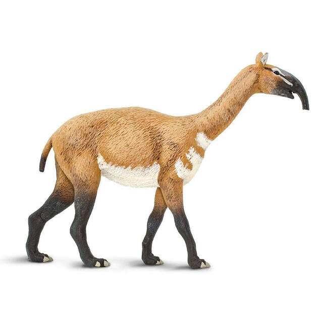 Safari® Macrauchenia