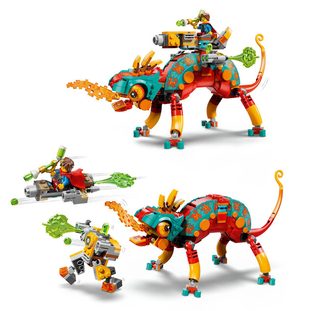 LEGO® DREAMZzz™ 71492 Mateo und sein Feuersalamander
