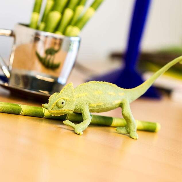 Safari® Mláďa chameleóna jemenského