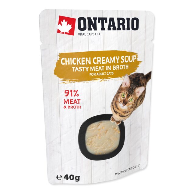 Polievka Ontario kura so syrom 40g
