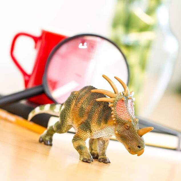 Safari® Styracosaurus dinosaurus