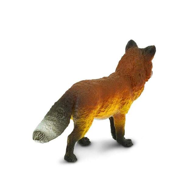 Safari® Líška