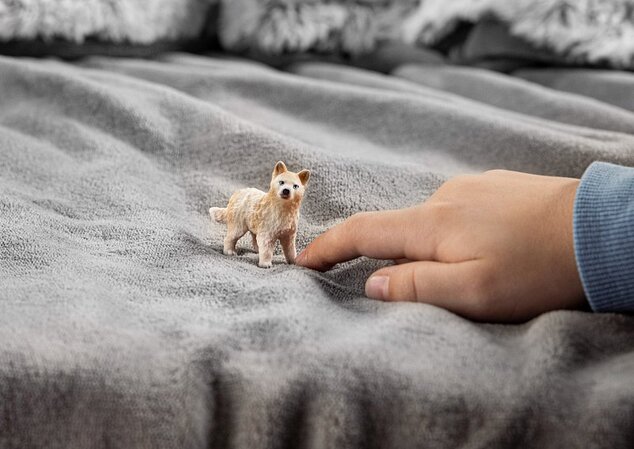 Schleich Zvieratko - mláďa vlka arktického