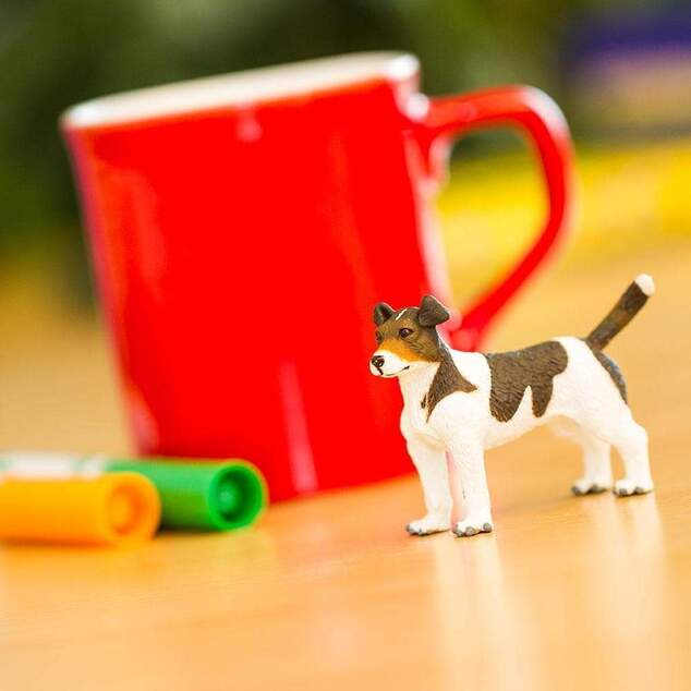 Safari® Jack Russell terrier