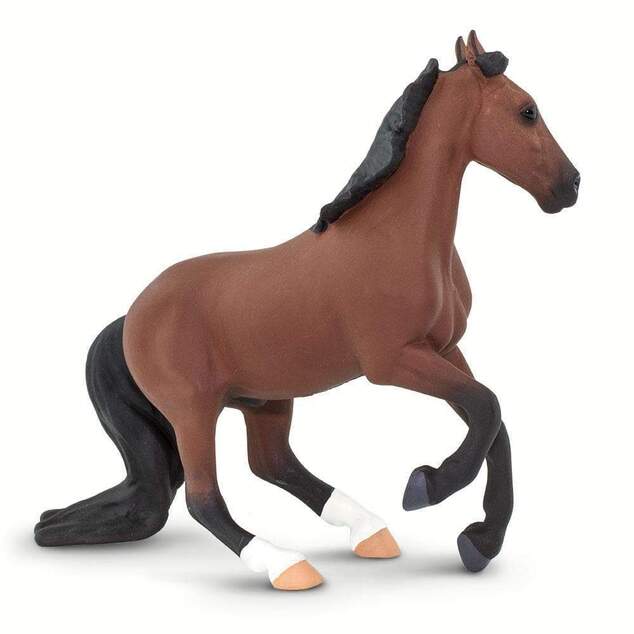 Safari® Plnokrvník kôň