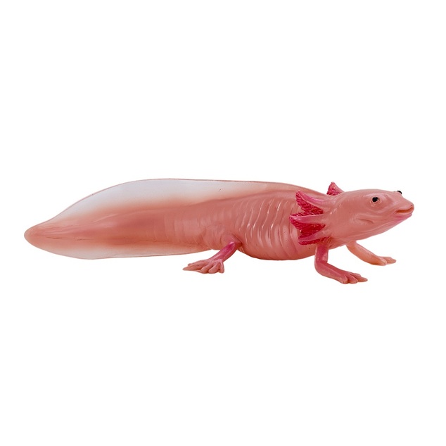 Mon Axolotl