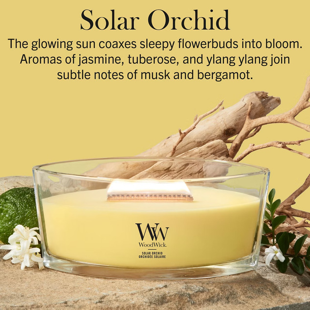 WW Kerze Schiff Solar Orchid
