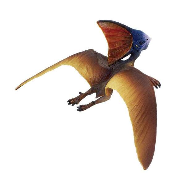 Safari® Tapejara dinosaurus