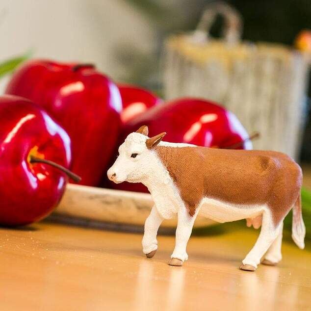Safari® Krava Hereford