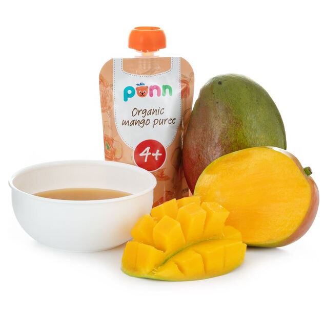 SALVEST Ponn BIO Mango 100% (100 g)