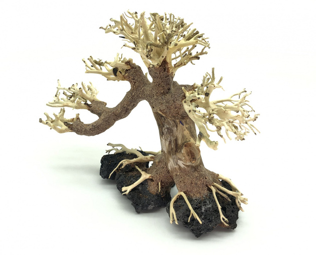 Bonsai Driftwood 20 x 15 x 16 cm No.28