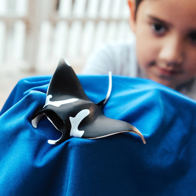 Safari® Manta raja A25