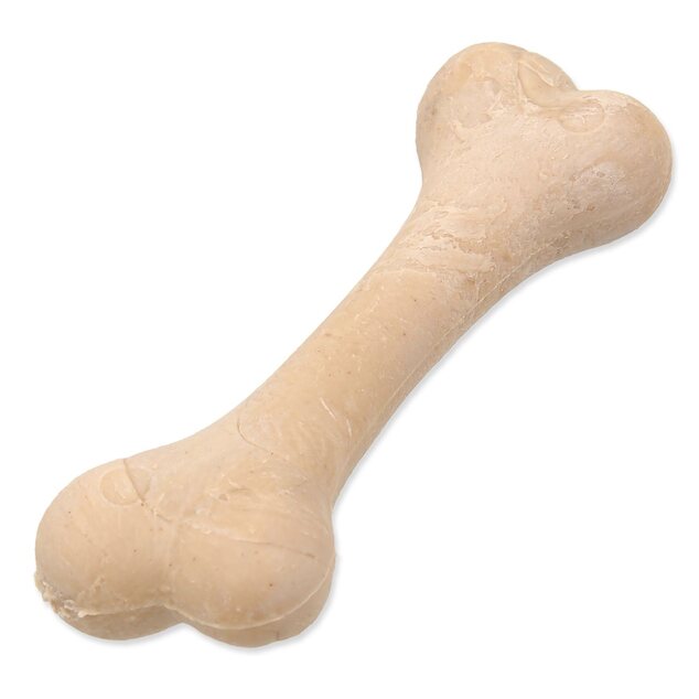 Displej Kosť Dentosaurus kalciová 8,5cm 56ks