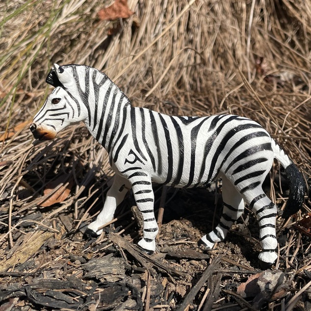 Safari® Zebra stepná