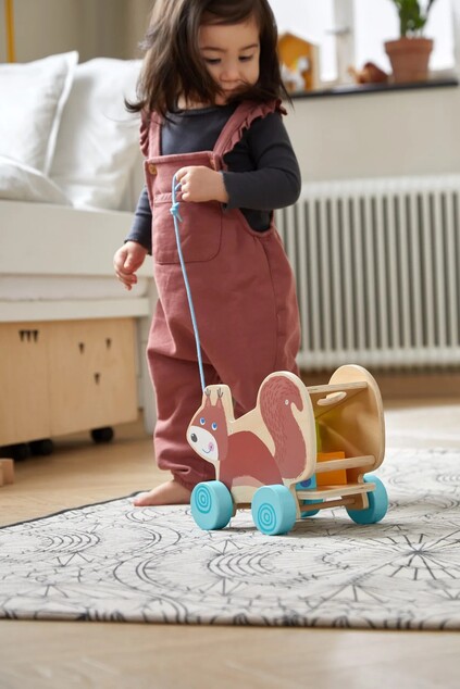 Haba  Ťahacia hračka s vkladacími tvarmi - veverička