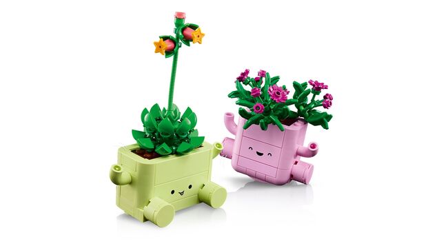 LEGO® Botanicals 11506 Hojdajúce sa rastlinky