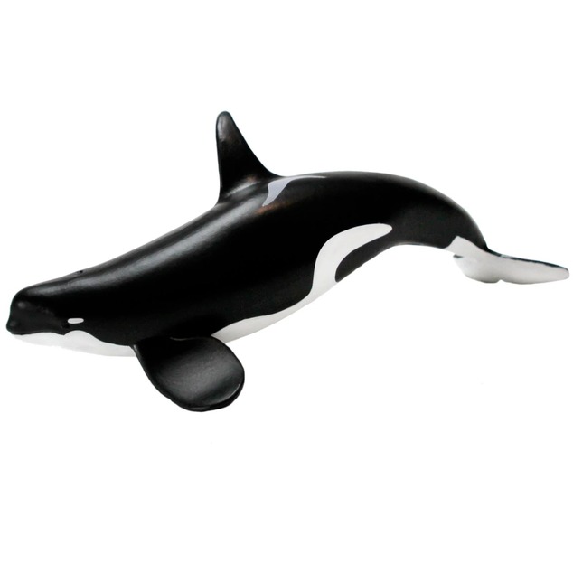 Safari® Orca typ D