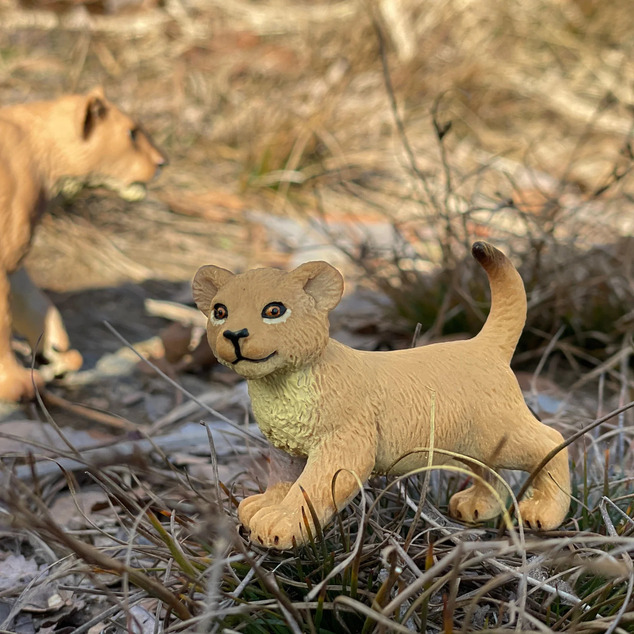 Safari® Mláďa leva