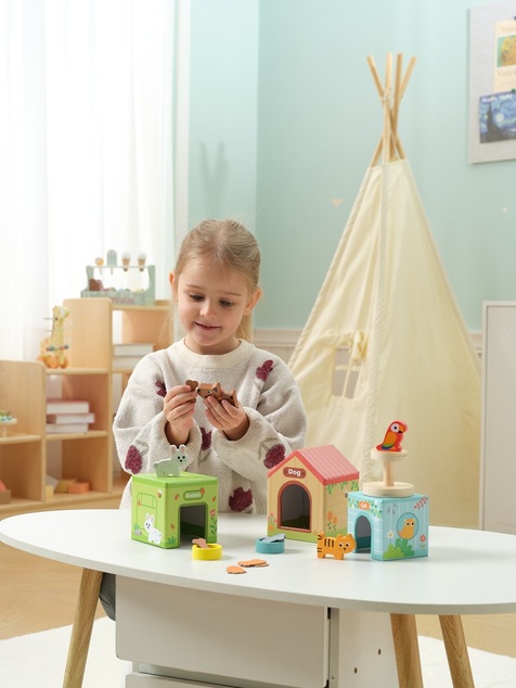 2Kids Toys Casette per animali domestici