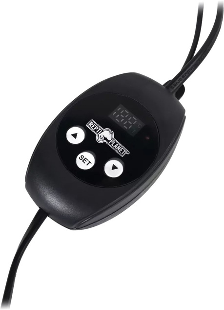 RP Termostat Mini PID 300W