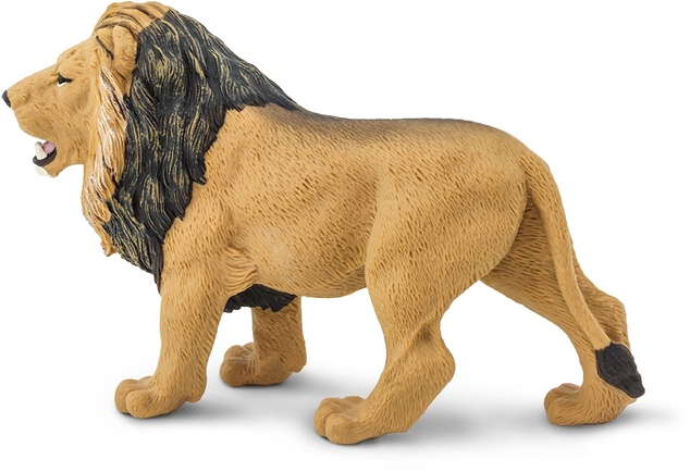 Safari® Lev