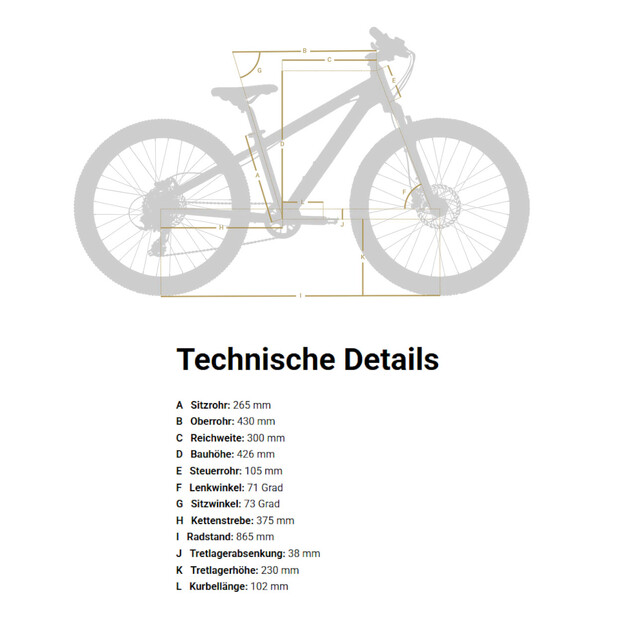 PUKY Kinderfahrrad 20" X-COADY 20 DISC
