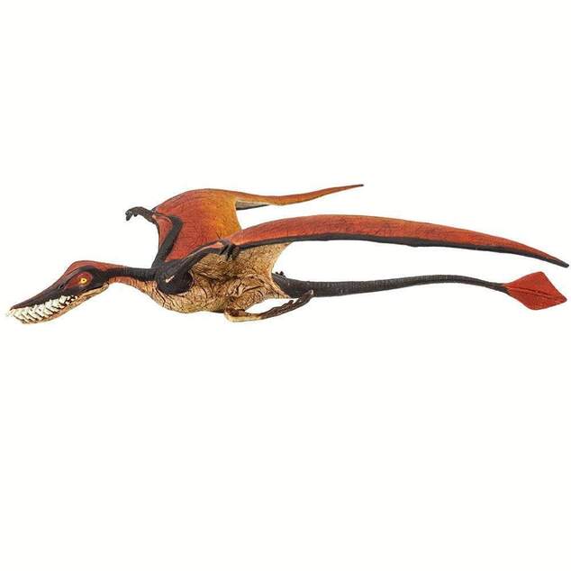 Safari® Рамфоринхус