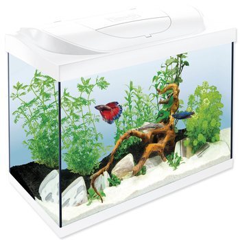 Aquarienset Tetra Starter Line LED weiß 61x32x51cm 80l