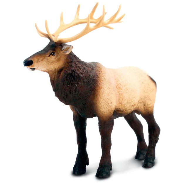 Safari® Jeľeň Wapit