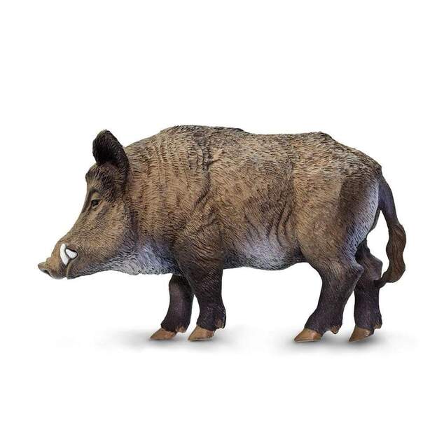 Safari® Diviak lesný
