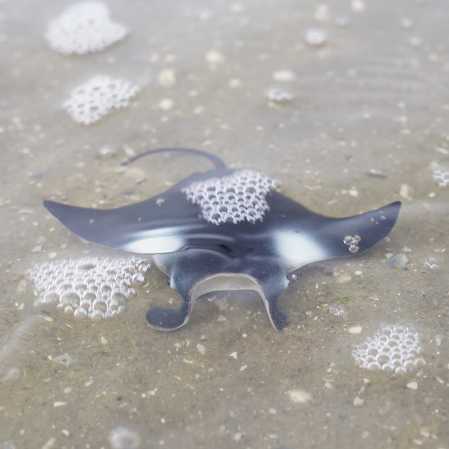 Safari® Manta raja