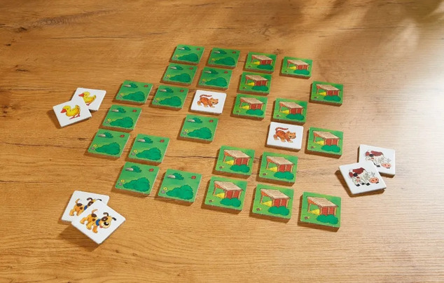Haba Comoara mea de jocuri Set de 10 jocuri de la 3 ani