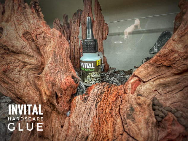 INVITAL HardScape Glue 20 g - lepidlo na dekorácie
