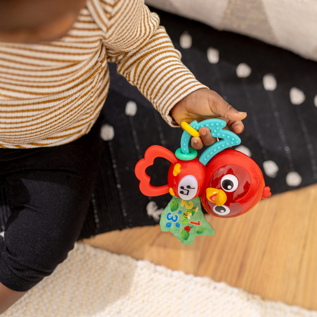 BABY EINSTEIN Igrača glasbena senzorična Roxy's Bright Flight™ 3m+
