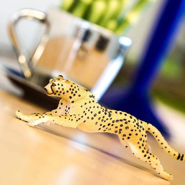 Safari® Bežiaci gepard