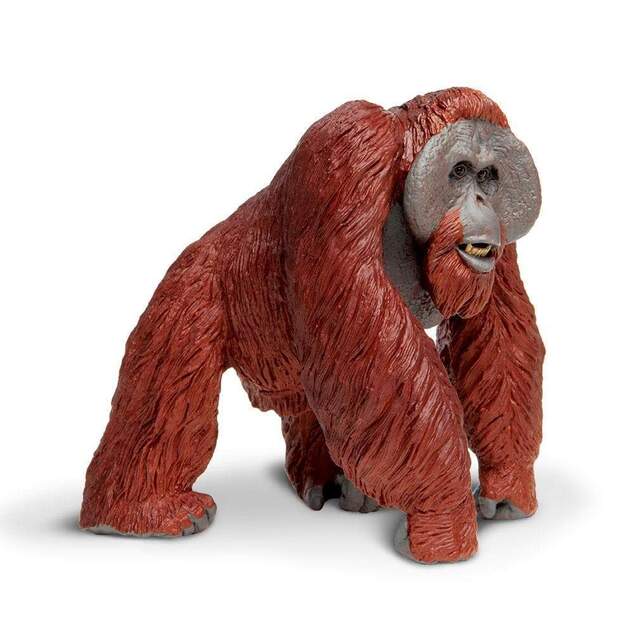 Safari® Borneo-Orang-Utan
