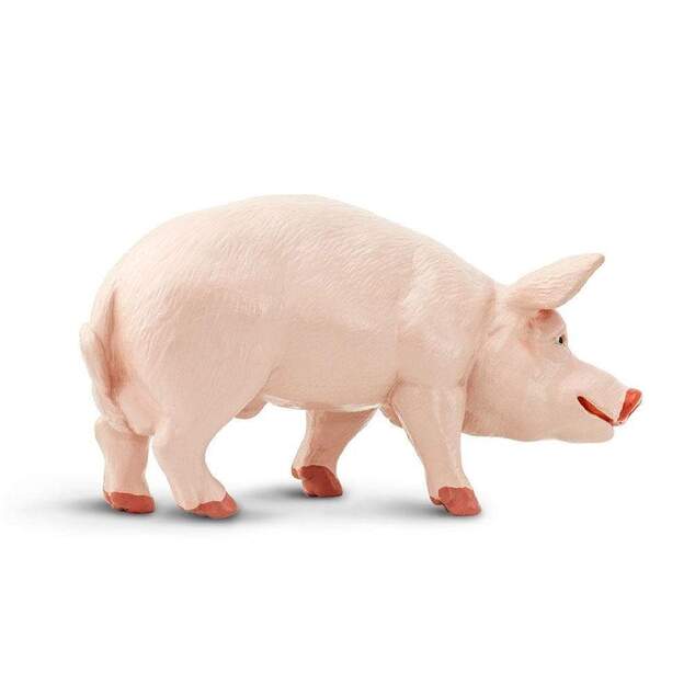 Safari® Kanec