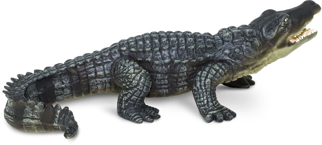 Safari® Krokodil