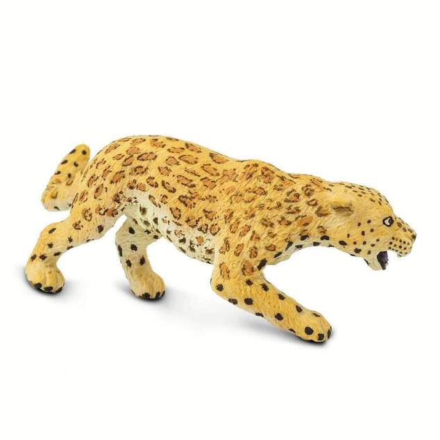 Safari® Leopard
