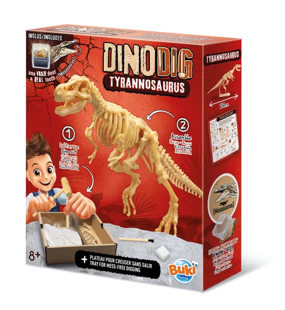 Dinodig vykopávka a kostra Tyranosaurus