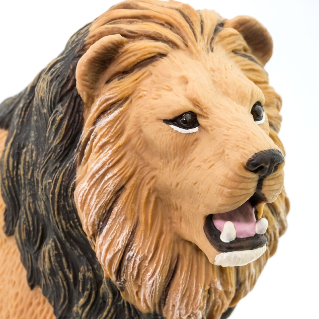 Safari® Lev