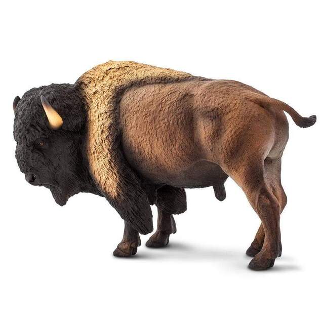Safari® Bizón americký