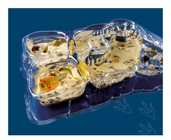 Triops World - vita preistorica