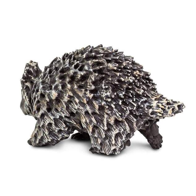 Safari® Equidna