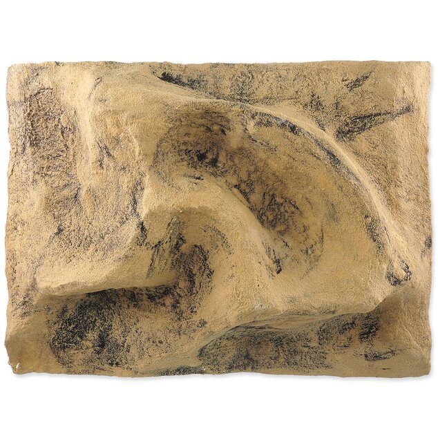 Pozadie Repti Planet do terária 40,5x55,5x12cm