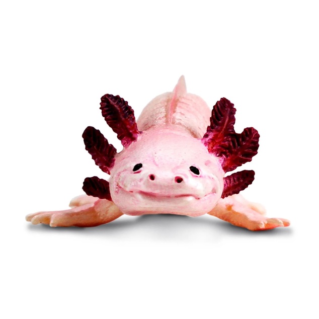 Safari® Axolotl mexický