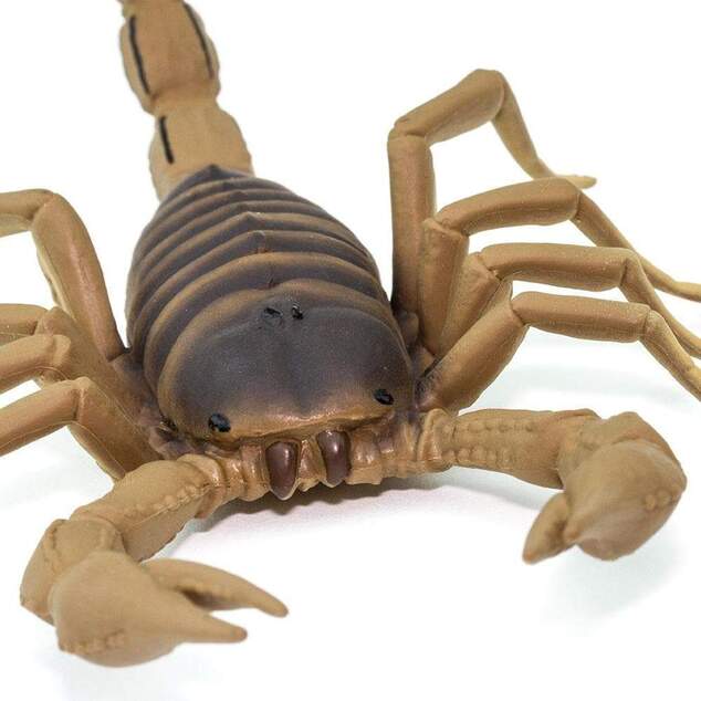 Safari® Škorpión