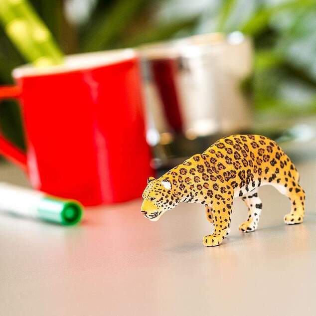 Safari® Jaguár
