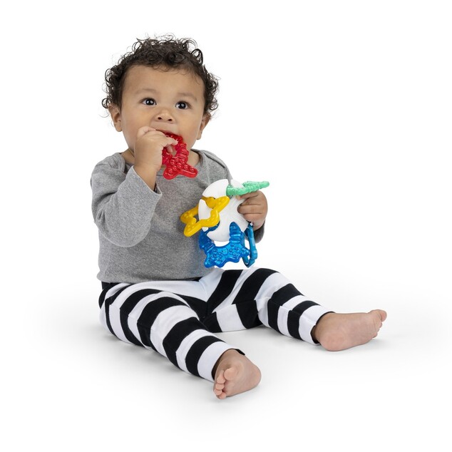 BABY EINSTEIN Ocean Explorers Sea of Sensory™ 3m+ Beißring