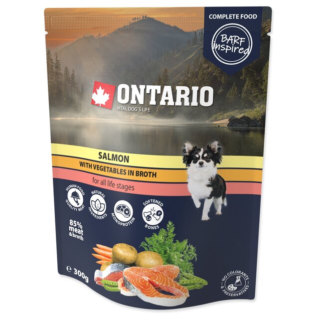 Kapsička Ontario losos so zeleninou vo vývare 300g